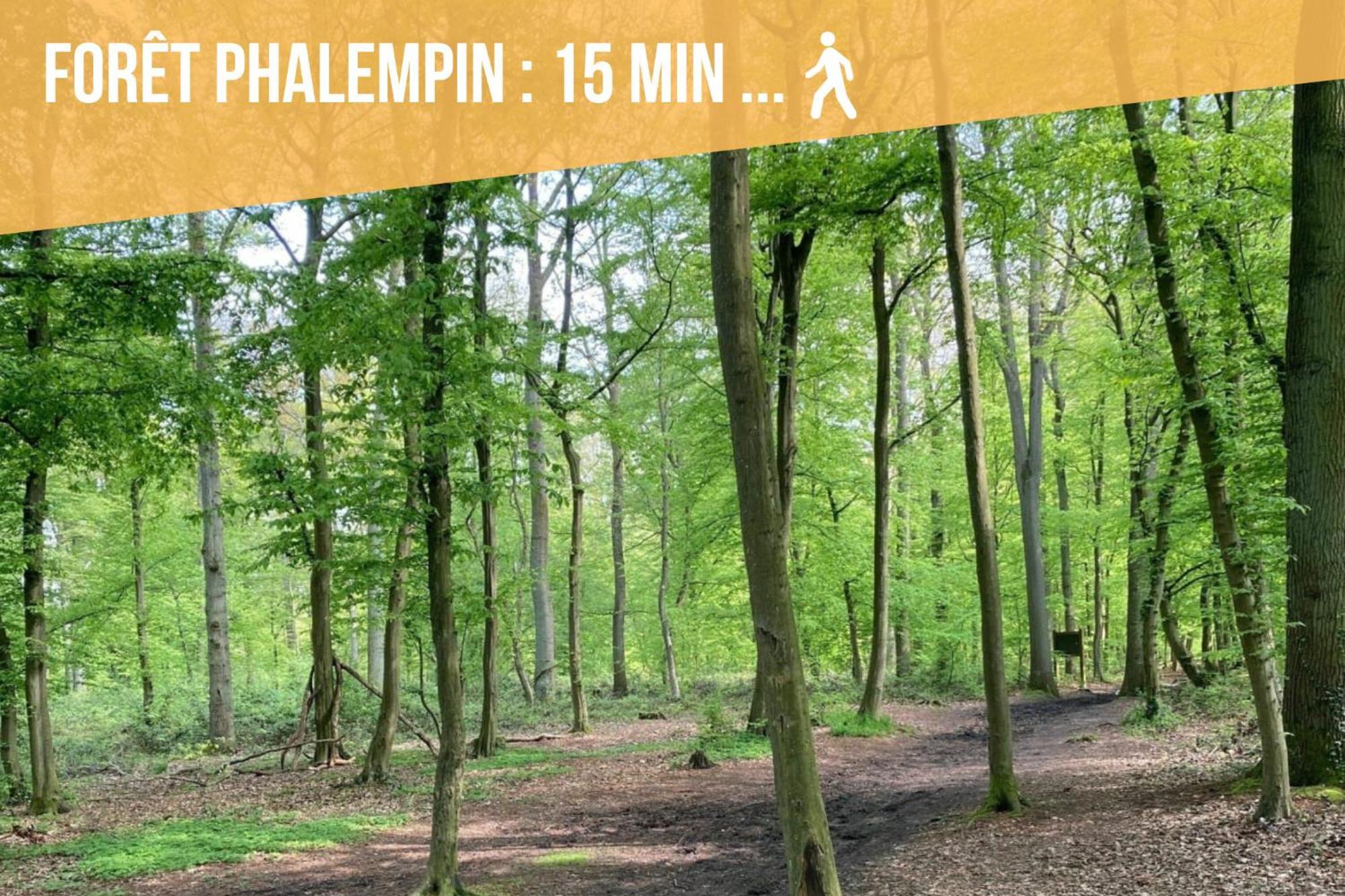 Gite Le Duplex - 5Min De La Gare Vers Lille-Lens-Arras Phalempin Εξωτερικό φωτογραφία